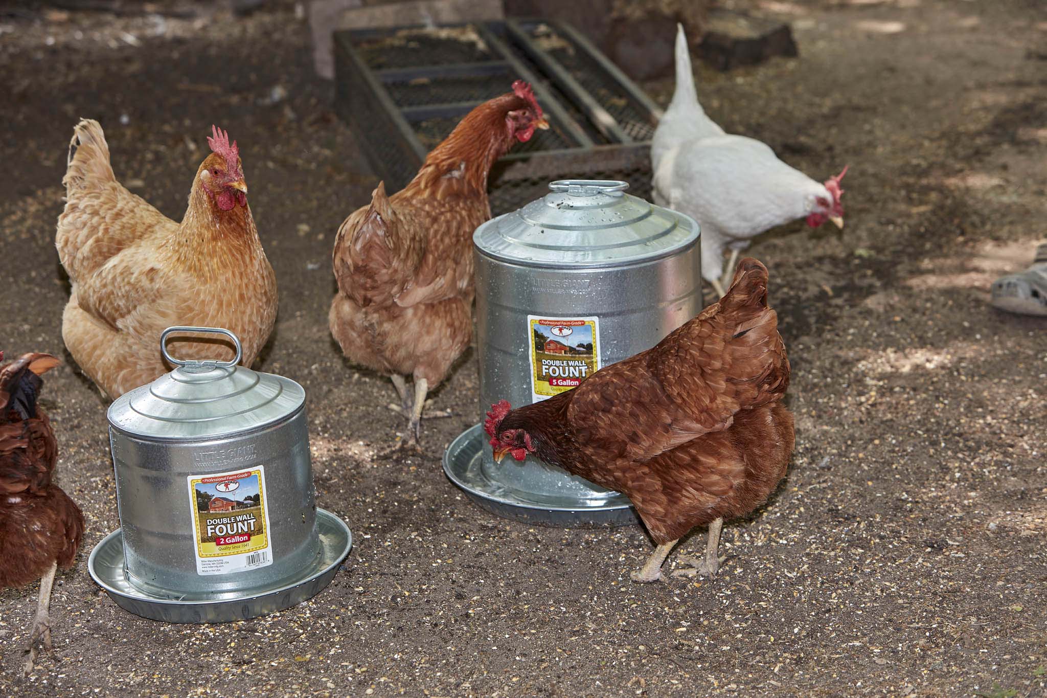 Double Wall Metal Poultry Fount - Image 4