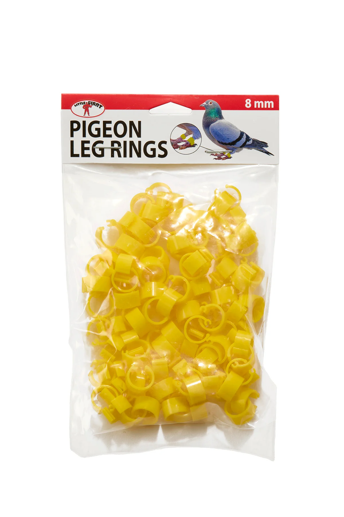 Pigeon Leg Rings - Image 4