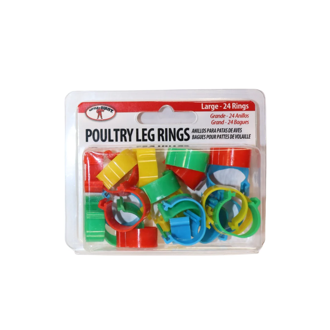 Poultry Leg Rings - Image 3