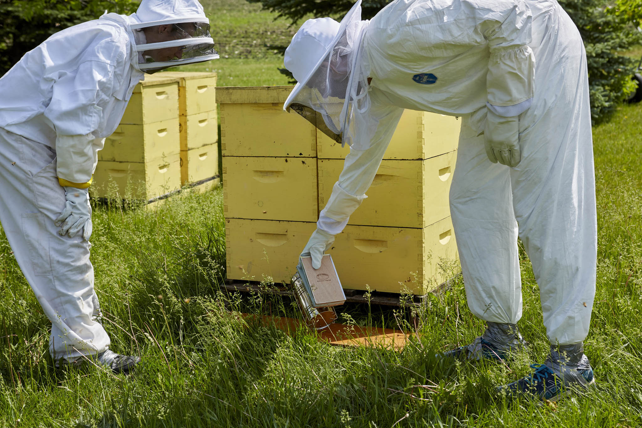 Beekeeping Hive Smoker - Image 3